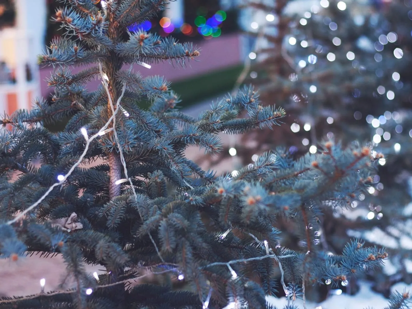 Aurora Fibre Optic 6 ft — view 2