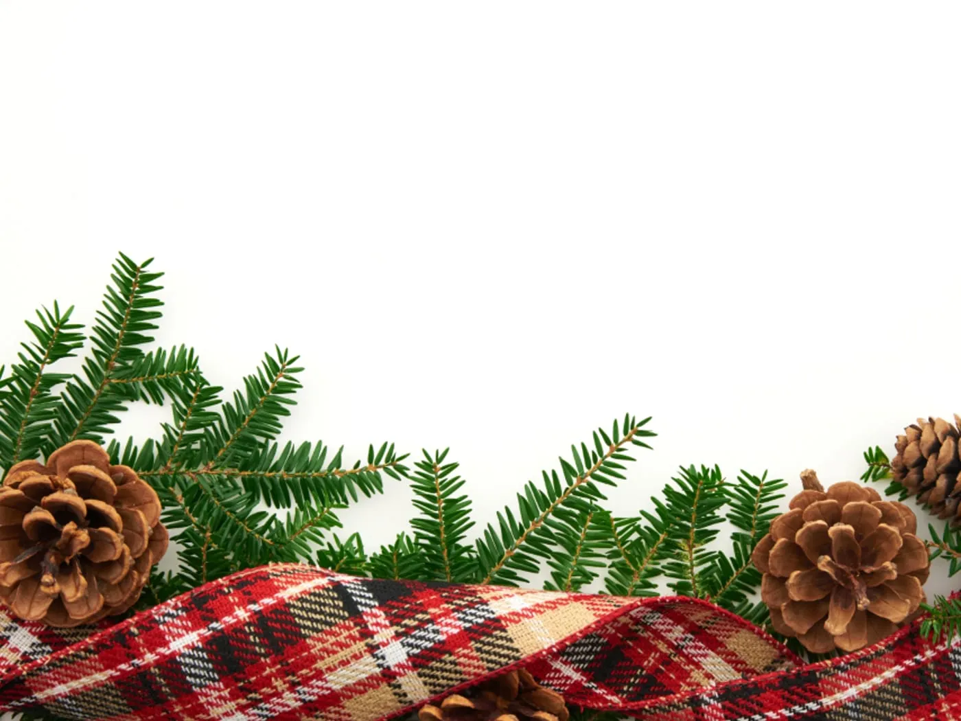 Nordic Spruce 6 ft